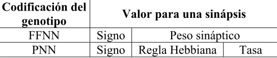 Tabla 1 – Codificación genética de los parámetros sinápticos. Para controladores FFNN, un peso con signo para cada sinápsis