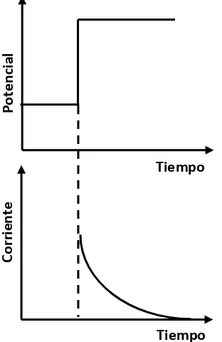 Figura 2.3. Curvas típicas E/t e i/t para una experiencia de cronoamperometría, con un 