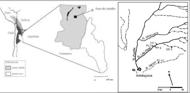 Figura 1.  Mapa del área de estudio de la provincia de Catamarca. Localización de la Cueva Salamanca 1en la microrregión de Antofagasta de la Sierra