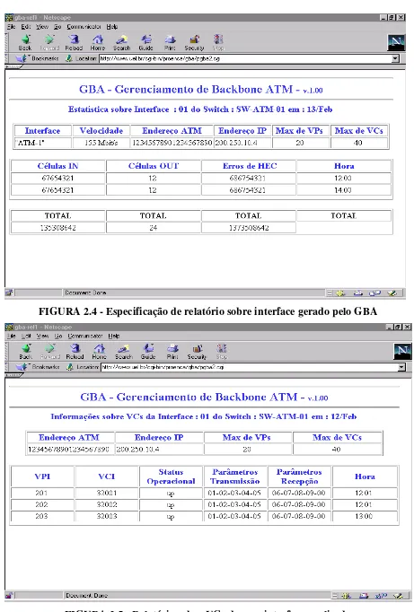 FIGURA 2.4 - Especificação de relatório sobre interface gerado pelo GBA 