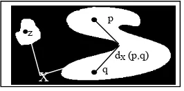 Fig.1 Distancia Geodésica entre p y q; dX(z,p)=+∞.