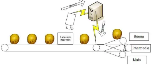Figure 1: Diagram of the system where the oranges images are captured, analyzed and classiﬁed.
