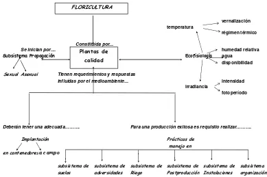 Figura 1. Red conceptual del curso Floricultura. Cada ítem tiene hipervínculo hacia contenidos de texto, 