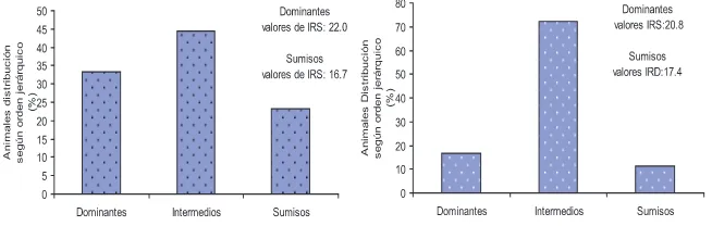 Fig 10. Representación de los porcentajes de animales según su ordenjerárquico (animales dominantes y sumisos) a nivel de comedero (Derecha) ybebederos (Izquierda).