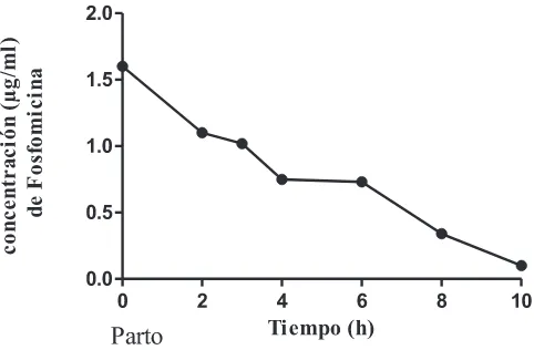 Fig 1. Representación esquemática del pasaje de fosfomicina a calostro