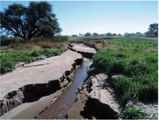 Figura 1. Erosión hídrica en tierras desmontadas. Provincia de San Luis