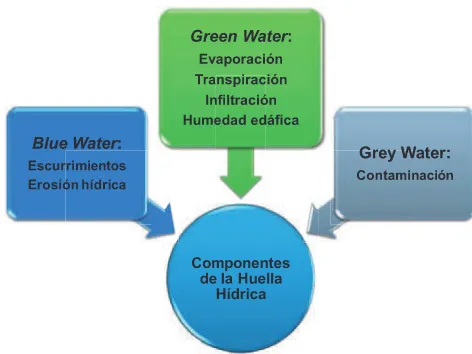Figura 6. Componentes de la huella hídrica. Hoekstra et al., 2009