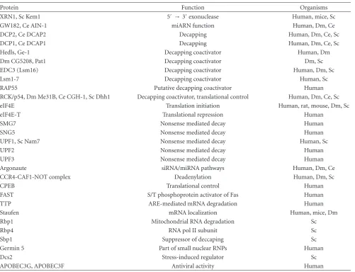 Table 2: Components of processing bodies.