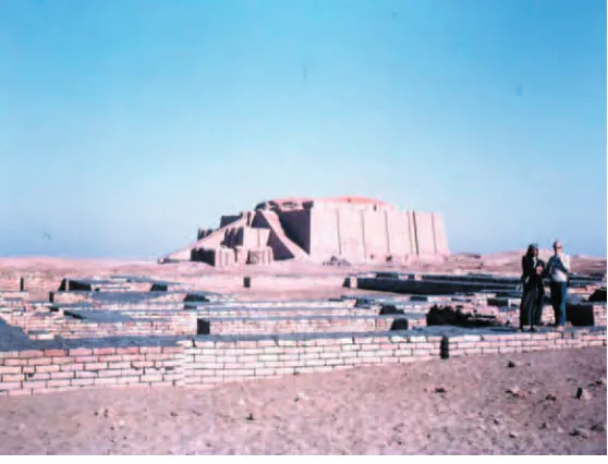 Figura 2. Restos de la antigua ciudad de Ur, en Mesopotamia (actual Irak), que en la épocabíblica era un puerto y hoy se encuentra a unos 250 km de la costa del Golfo Pérsico.