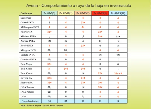 Cuadro de Royas