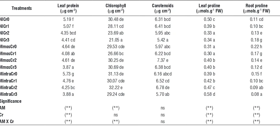 table 3. Effects of chromium concentrations on leaf protein, chlorophyll, carotenoides and leaf and root proline contents in inoculated or inoculated with Capsicum annuum L