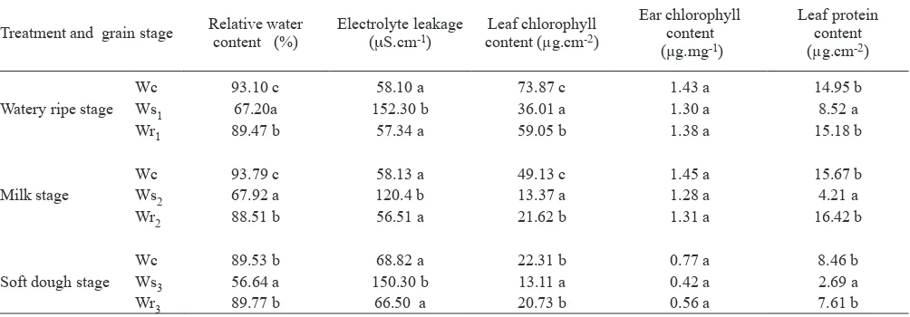 Table 1. Relative water content, electrolyte leakage, chlorophyll and protein content in lag leaves and ears (glumes and awns) of wheat plants submitted to water stress and rewatering at watery ripe, milk or soft dough stage