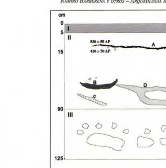 Figura 3. Perfil Noroeste 