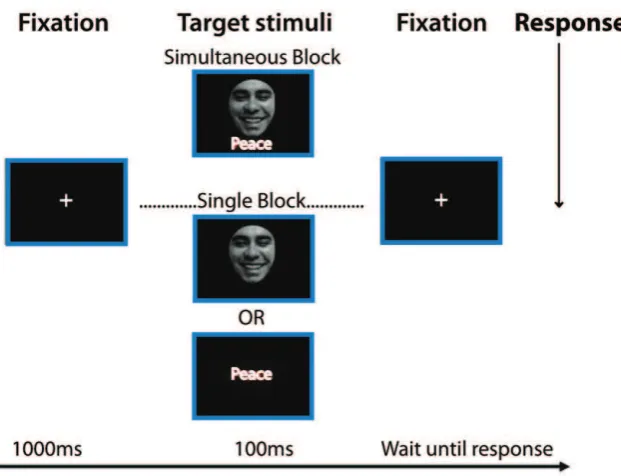 Figure 1. DVT. The trial starts with a fixation cross (1000 ms), followed by a target stimulus (100 ms): single stimulus face or word, (Single StimulusBlock) or simultaneously presented face and word (Simultaneous Stimuli Block)