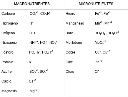 Tabla 2. Formas iónicas de los elementos esenciales utilizados por las plantas 