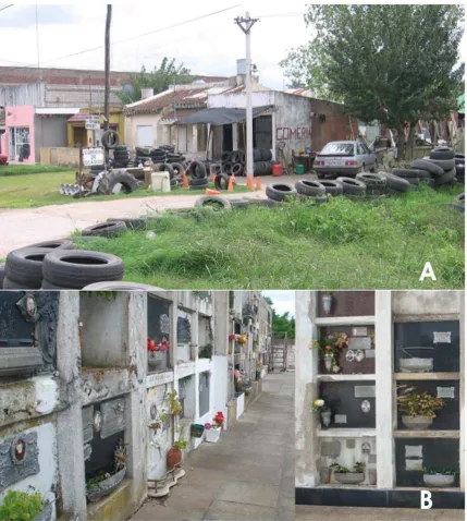Figure 3. Sampling locations in Buenos Aires province. (A) Tire-repair stations showing tires with accumulated rainwater