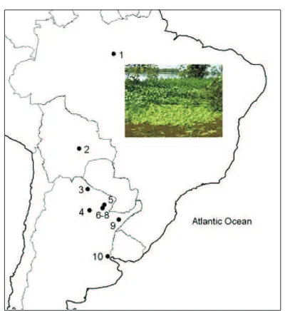 Fig. 25. Map of species distribution and collecting site. 1. Brazil, Amazonas,Iranduba, Ilha da Marchantaria; 2, Bolivia, Santa Cruz; 3-10, Argentina: 3,Formosa; 4-8, Chaco; 9, Corrientes; 10, Buenos Aires.