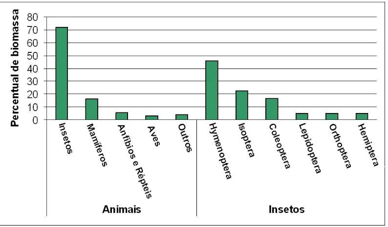 Figura 1. Biomassa animal numa floresta tropical úmida, modificada de Fittkau & 