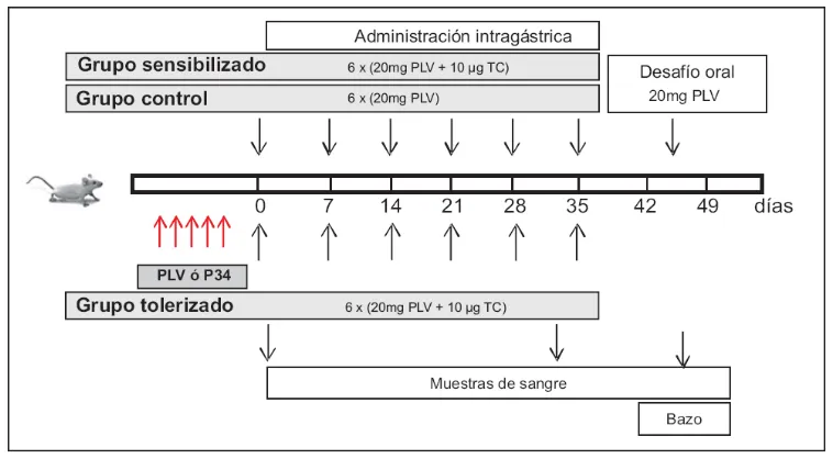 Figura 1. Protocolo experimental del plan de tolerización aplicado en el modelo murino de alergia alimentaria a PLV