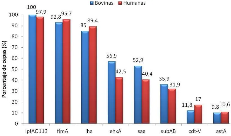 Figura 6. Distribución de los marcadores genéticos de virulencia en las cepas STEC de origen bovino y humano