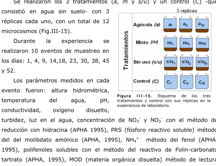 Figura I I I -1 4 .Microcosmos. 