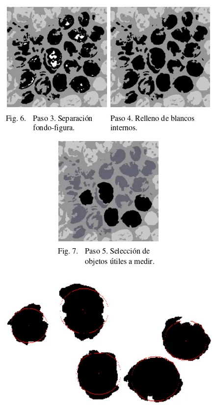 Fig. 5. Paso1. Imagen 