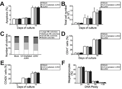 Figure 2. Influence of JUNV infection on cellular apoptosis, proliferation, clonogenic capacity and megakaryocyte development ofTPO-stimulated CD34determined at the indicated days of culture, except for colonies and ploidy, which were counted after 12 or 1