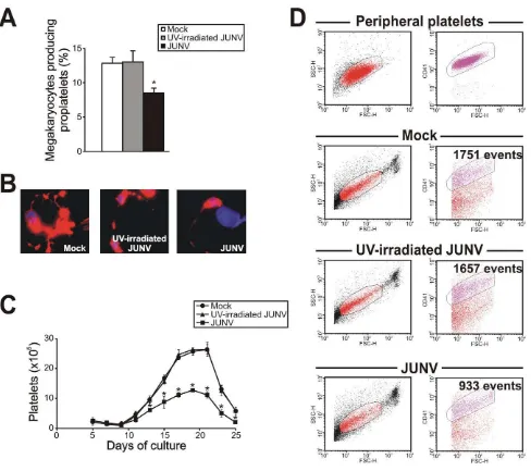 Figure 3. JUNV infection impairs proplatelet production and platelet release. CD34with the same scatter properties as blood platelets