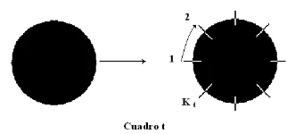 Figura 2: Rectas ortogonales al borde.