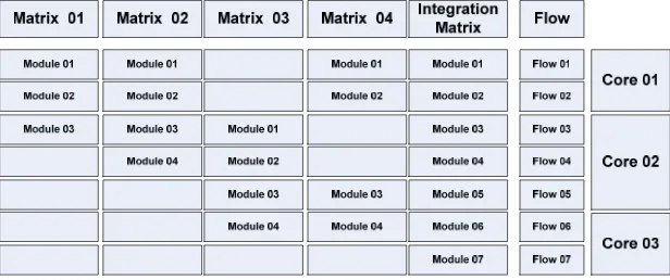 Figure 2.  Curriculum Model – Core, Matrix, Flow and Modules 