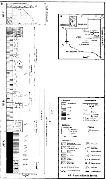 Fig. 2.-Perfilen el perfil compuesto de la izquierda (b). Ni la localidad de Cerro de la Bota ni la de Cerro Patagua han aportado hasta el momento esquemático de la Formación Cerro Azul