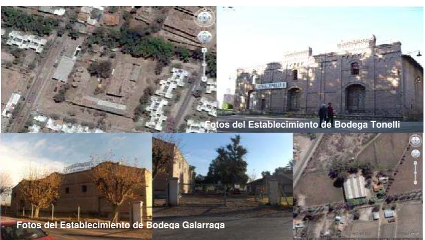 Figura 11 