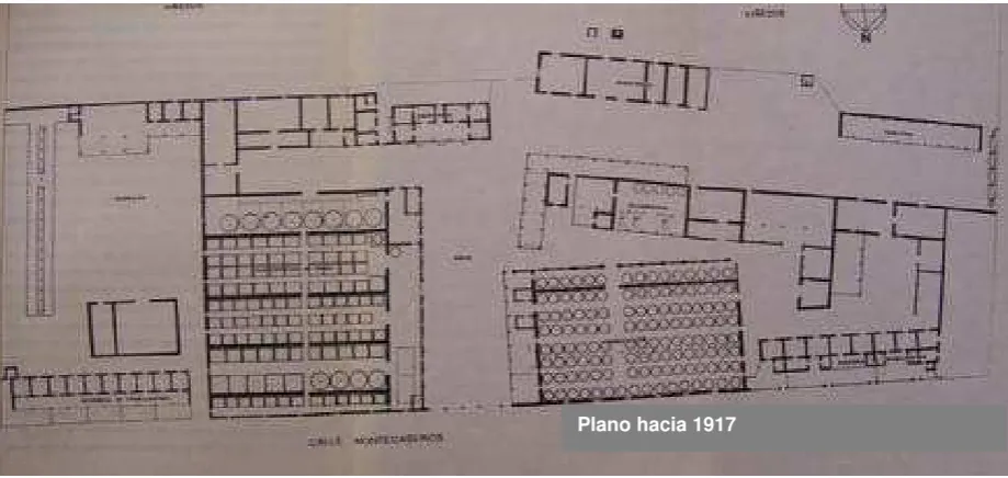 Figura 5 