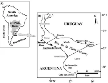 Fig. 1. A) del Plata Basin in South America B) Río de la Plata Estuary: the three main estuarine zones and the sampling site, BagliardiBeach (Argentina).
