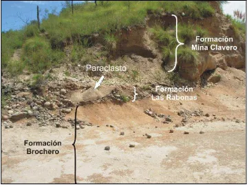 Figura V – 36. Barranca de Paso del Río Arriba donde aflora el paleosuelo. 