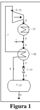 Figura 1 