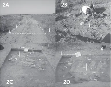 Fig. 2. Comienzo de los trabajos de campo. A) Trazado de la planta general, B) Delimitación de tres sec-tores de excavación, C) y D) Nivelación y determinación de la distribución de los entierros dentro de la planta de excavación.