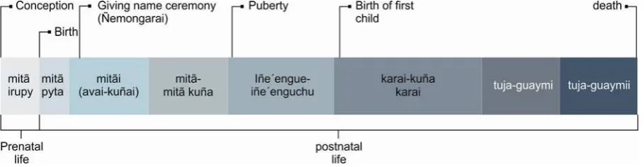 Figure 8:.Mbya life course 
