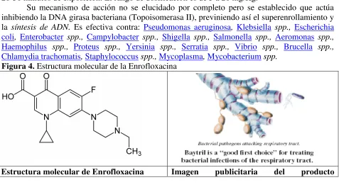 Figura 4. Estructura molecular de la Enrofloxacina  