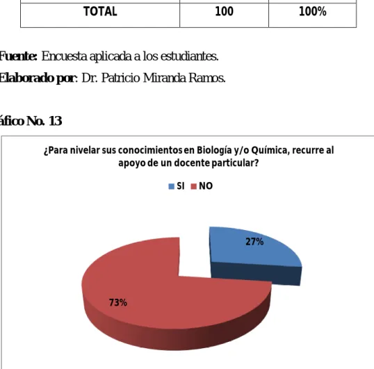 Gráfico No. 13 