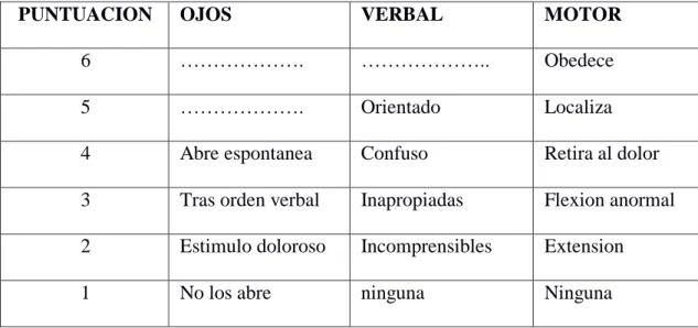 TABLA  1 ESCALA DE GLASLOW EQUIVALENCIA PUNTUAL 
