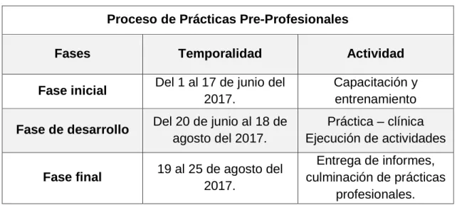 Cuadro 3 Esquema del proceso de prácticas pre- profesionales. 