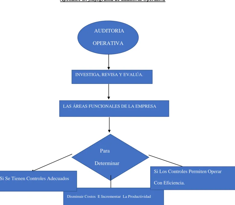 Figura  14 Flujograma de auditoría Operativa  Fuente consultorio médico 