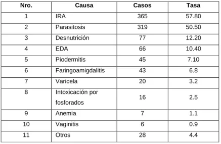 Cuadro 17: Morbilidad General 