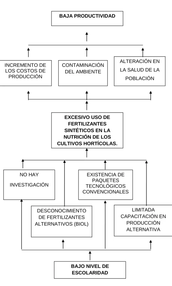 Figura No. 1. Árbol de problemas. 