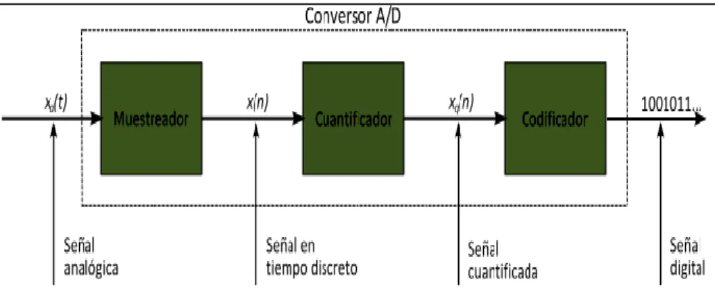 GRÁFICO N° 7  