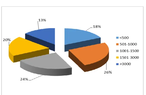 Figura 3.5. Gráfico de pastel. Ingresos  