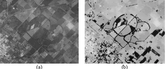 Figura 1. Imagen visible de la zona 1 (a) y máscara resultante de la aplicación de filtros sobre una imagen satelital Landsat-8 (b)