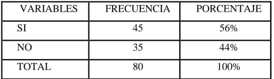 Gráfico N: 13  