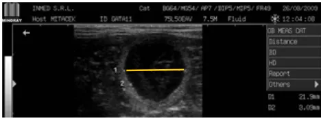 Figura 1: Imagen ultrasonográica del SG de 21 días de gestación, corte L. Calibre 1 (LON), Calibre 2 (ATP)